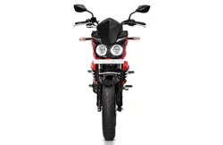 Mahindra Mojo 300 Red Agate Front View