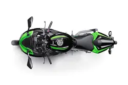 Ninja 300 KRT Edition Top View