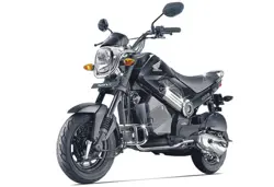 New Honda Navi Chrome Edition