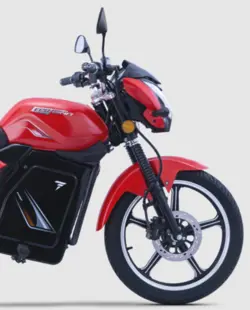 Pure EcoDryft 350 Front Disc Brake