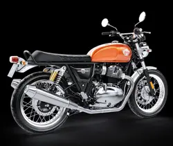 RE Interceptor 650 Rear 3-Quarter View