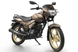 Star City Plus Chocolate Gold Edition (P)