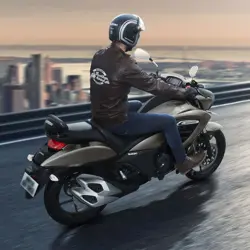 Suzuki Intruder Rear 3-Quarter View