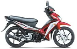 TVS Neo 110 (P)