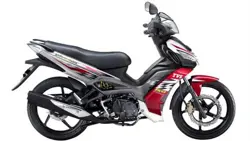 TVS Tormax 150 Side View