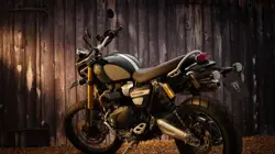 Triumph Scrambler Steve McQueen R3Q View