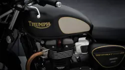 Triumph Street Twin Gold Line Fuel Tank