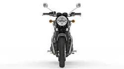 Triumph Bonneville T100 Gold Line Front View