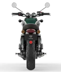 Triumph Bonneville T100 Gold Line Rear View