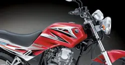 Yamaha Scorpio Z225 Close-Up View Fuel Tank