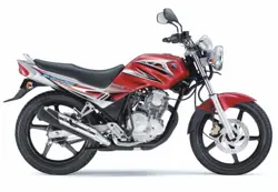 Yamaha Scorpio Z225 Side View
