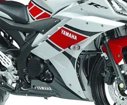 Yamaha YZF-R15 50th Anniversary Edition Engine Fairing