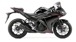 Yamaha YZF-R25 Side View (Black)