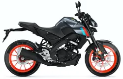 Yamaha MT-125 Side View