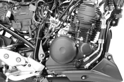 Yamaha FZS 250 Engine