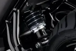 Yamaha FZS V3 Dark Knight Edition Rear Suspension