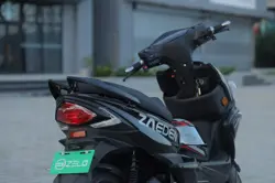 Zelo Zaeden Plus Rear 3-Quarter View
