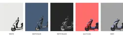 Zelo Zoop Colour Options