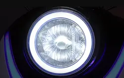 Fidato Evtech Cutie Headlight