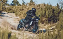 Husqvarna Svartpilen 801 Action Shot