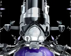 Royal Enfield Goan Classic 350 Digital-Analogue Console