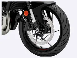Aprilia Tuono 457 Front Disc Brake