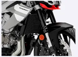 Aprilia Tuono 457 Front Suspension