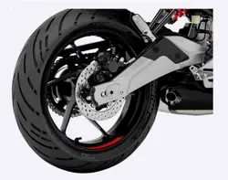 Aprilia Tuono 457 Rear Disc Brake
