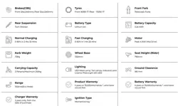 Revolt RV BlazeX Specification Data