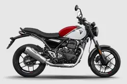 Triumph Speed T4 Side View