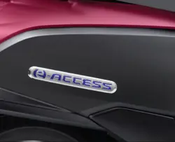 Suzuki Access Electric Distinctive Raised Emblems
