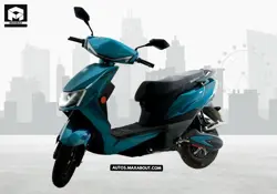 Warivo Edge