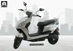 Warivo Edge Plus