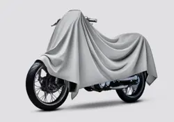Norton 650