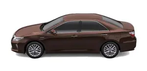 Toyota Camry Shades Dark Brown Mica Metallic