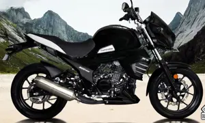 Mahindra Mojo 300 Image