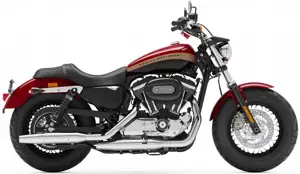 Harley-Davidson 1200 Custom Image