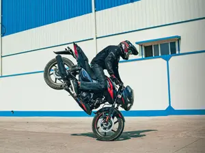 Bajaj Pulsar 150 Twin Disc