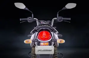 Bajaj Platina 100