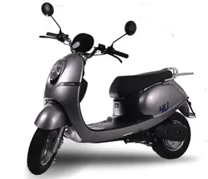 EeVe Electric Scooter