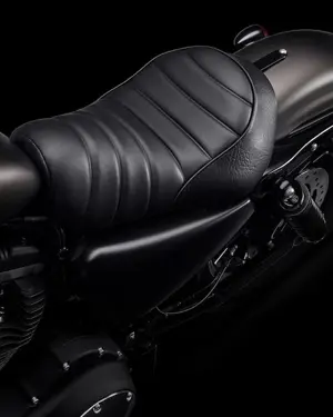 Harley-Davidson Iron 883