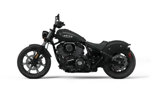 Indian Chief Dark Horse