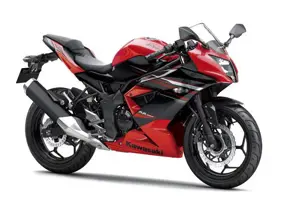 Kawasaki Ninja RR Mono