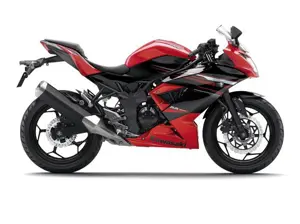 Kawasaki Ninja RR Mono