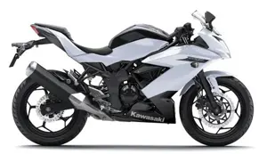 Kawasaki Ninja 250SL White