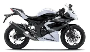 Kawasaki RR Mono White