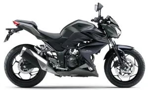 Kawasaki Z300 'Dark Grey'