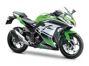 Kawasaki Ninja 300 Anniversary