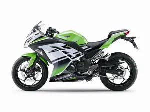 Kawasaki Ninja 300 Anniversary