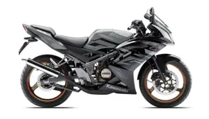 Kawasaki Ninja 150 RR (Grey)